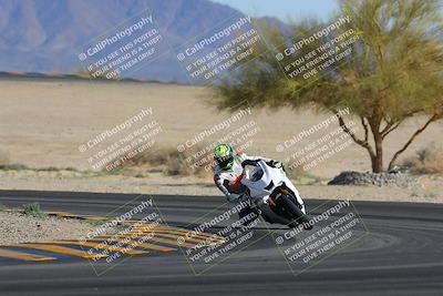 media/Feb-04-2023-SoCal Trackdays (Sat) [[8a776bf2c3]]/Turn 4 (Tree of Life 2pm)/